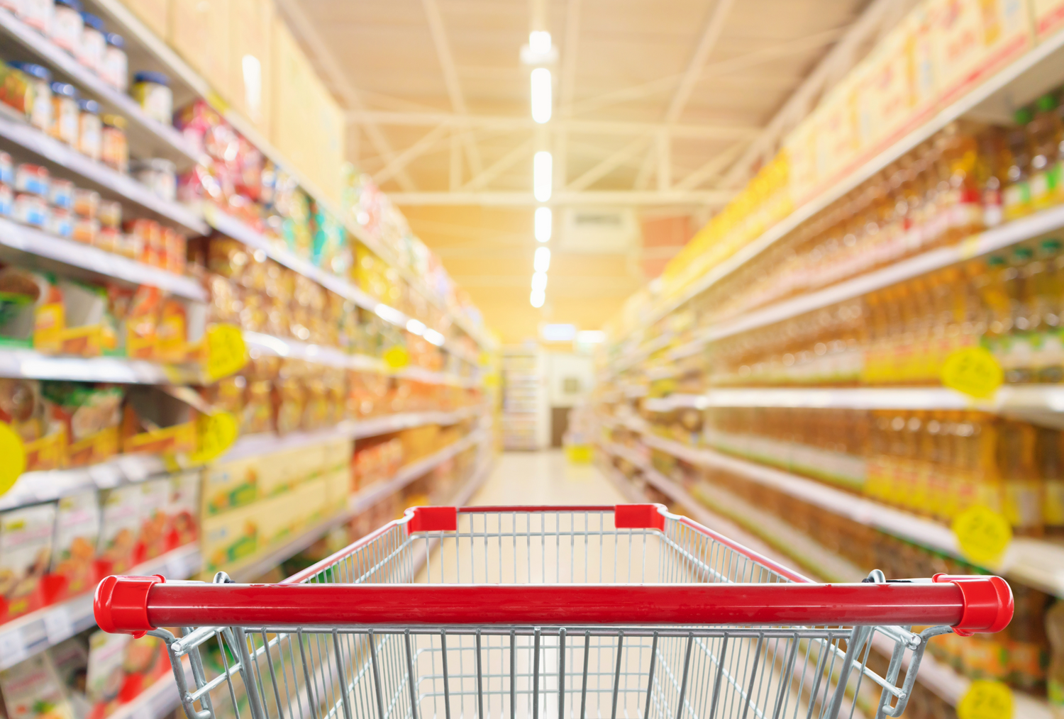 Alimentos