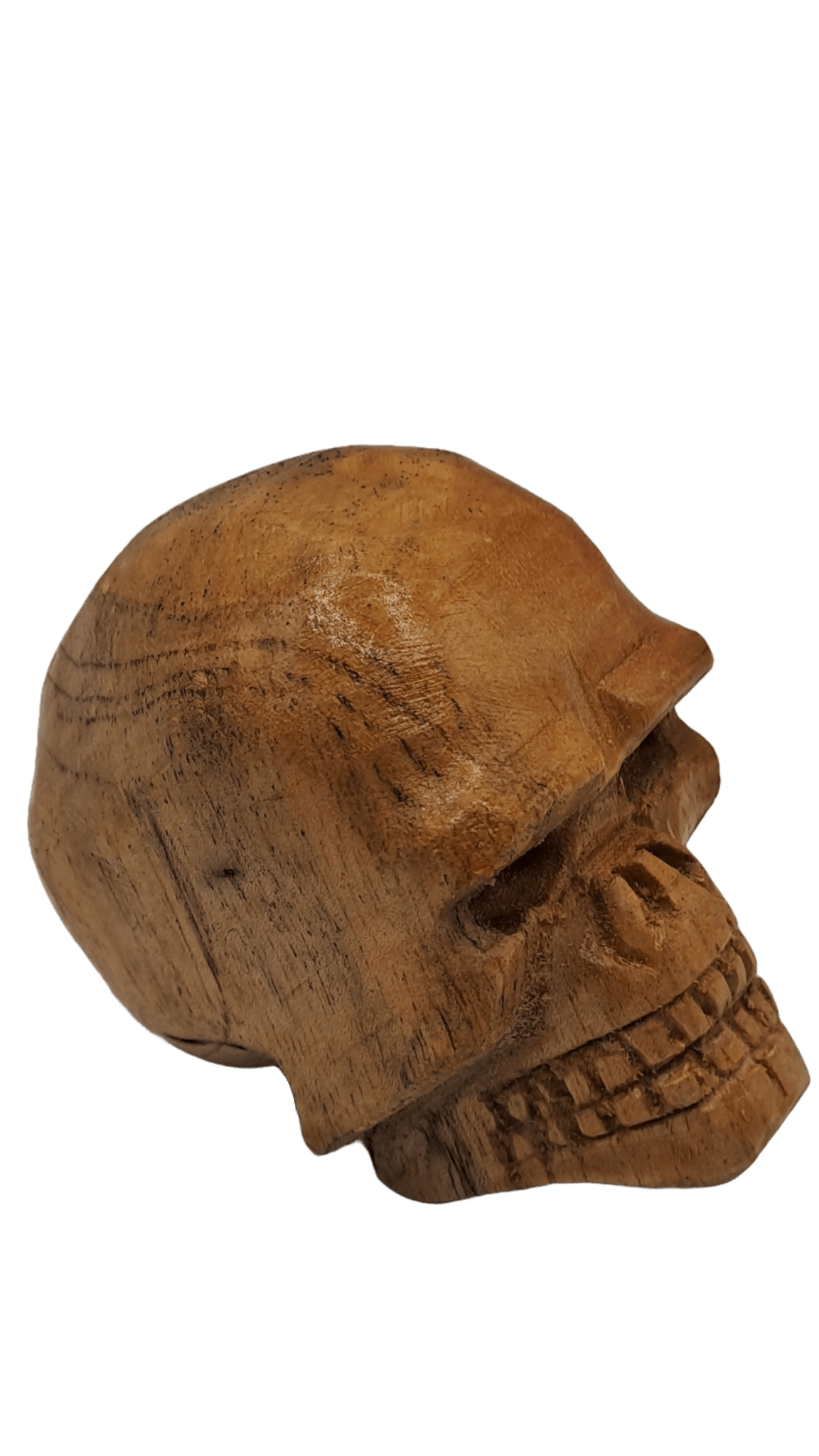 Calavera de Madera vista lateral