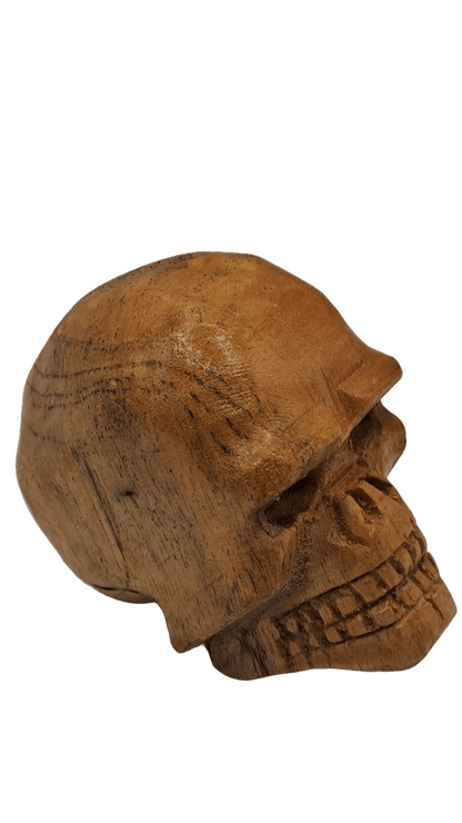 Calavera de Madera vista lateral